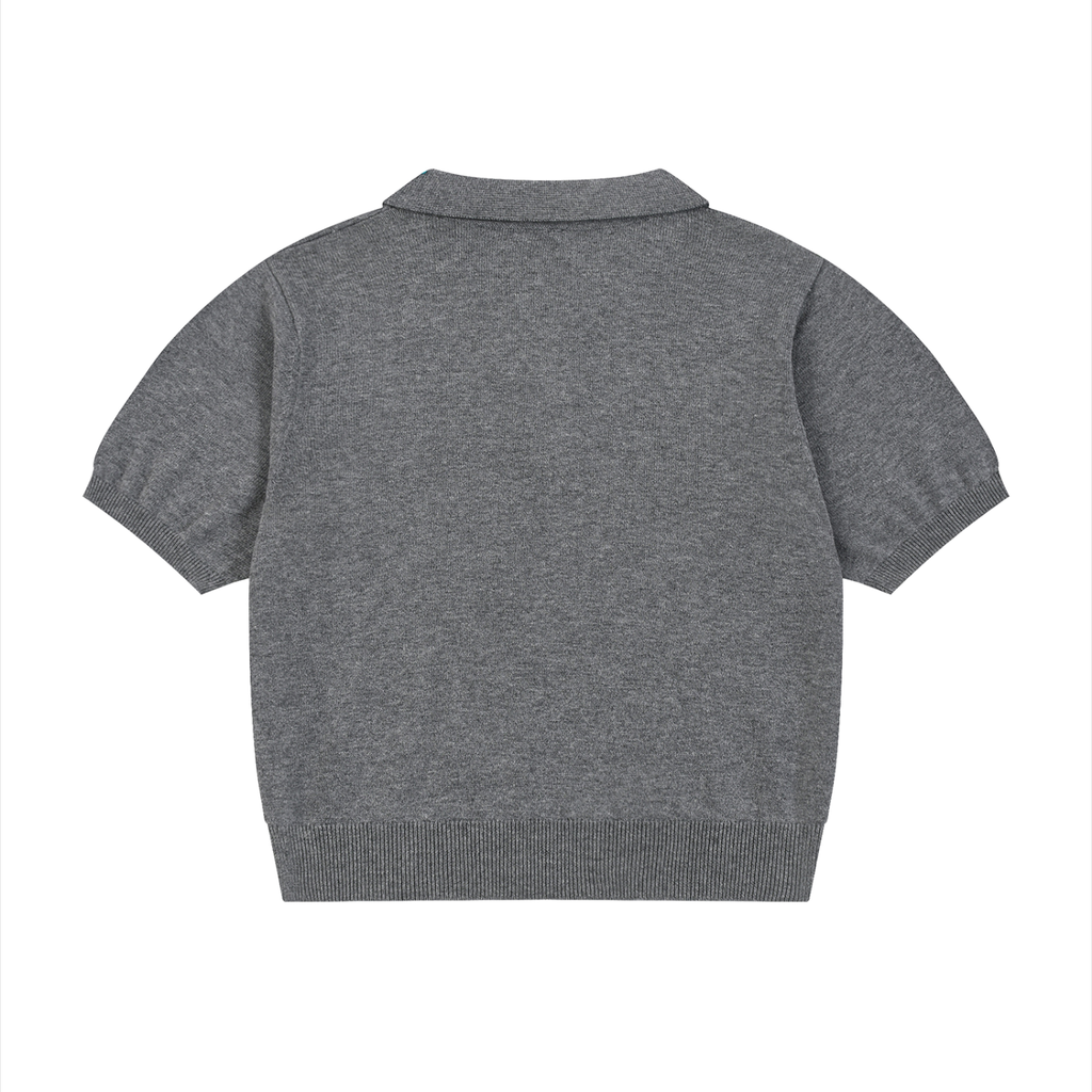 AR | knit polo